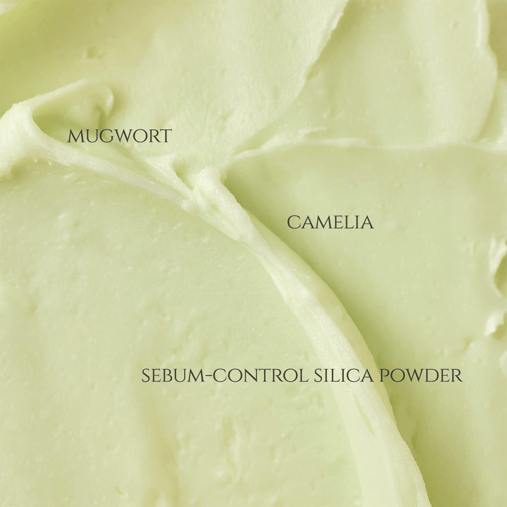 BEAUTY OF JOSEON Matte Sun Stick Mugwort+Camelia SPF 50 - 18gm